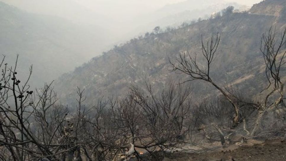Photo prise ce matin, au village Taourirt Mokrane, dans la la wilaya de Tizi Ouzou. ©Karim Benamar