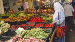 © Yahia /Archives/ Liberté