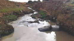 Avec la pollution de l’oued K’soub se pose le problème de l’irrigation des terres agricoles.  © D.R