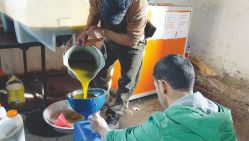 Une huilerie traditionnelle. © D.R