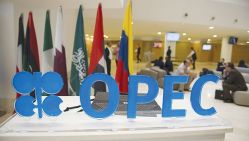 © Archives Liberté