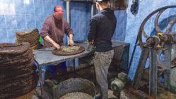 À Jijel, il y a un nombre élevé d’huileries traditionnelles encore en activité. © D. R.