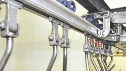 Les abattoirs sont ouverts 5 jours sur 7, alors que celui de Bouzeguène ne reste ouvert que 3 jours sur 7. © D.R