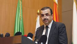 Le ministre de l’Énergie et des Mines, Mohamed Arkab. © Archives Liberté