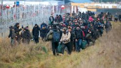 Des milliers de migrants marchent près de la frontière entre la Pologne et la Biélorussie. © D. R.