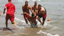 © Zitari/Archives Liberté