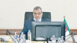 Le Pr Sidi Mohammed Bouchenak Khelladi, président du Cnese. © D.R