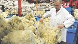 Une usine de traitement de la laine. © Archives Liberté