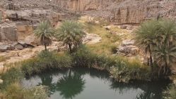 Le lac de Tiguelguemine dans la wilaya d’In Salah. © D.R.