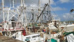 Malgré une zone économique exclusive de 126 000 km2, la Guyane ne compte qu’une centaine de navires de pêche. © D.R